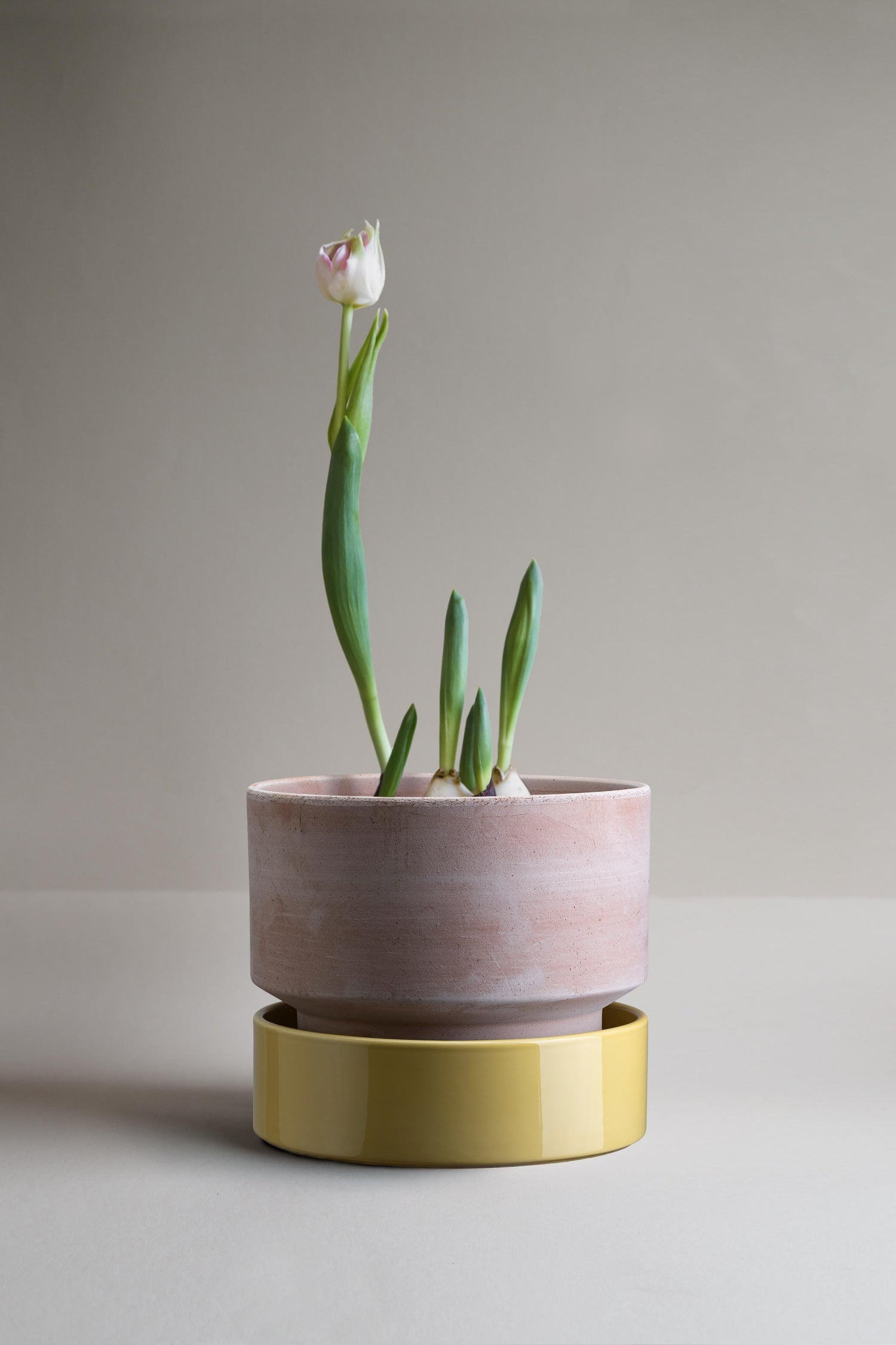 The low pot fra Bergs Potter. Kombinationen er Raw Rose sammensat med en gul glaseret underskål.