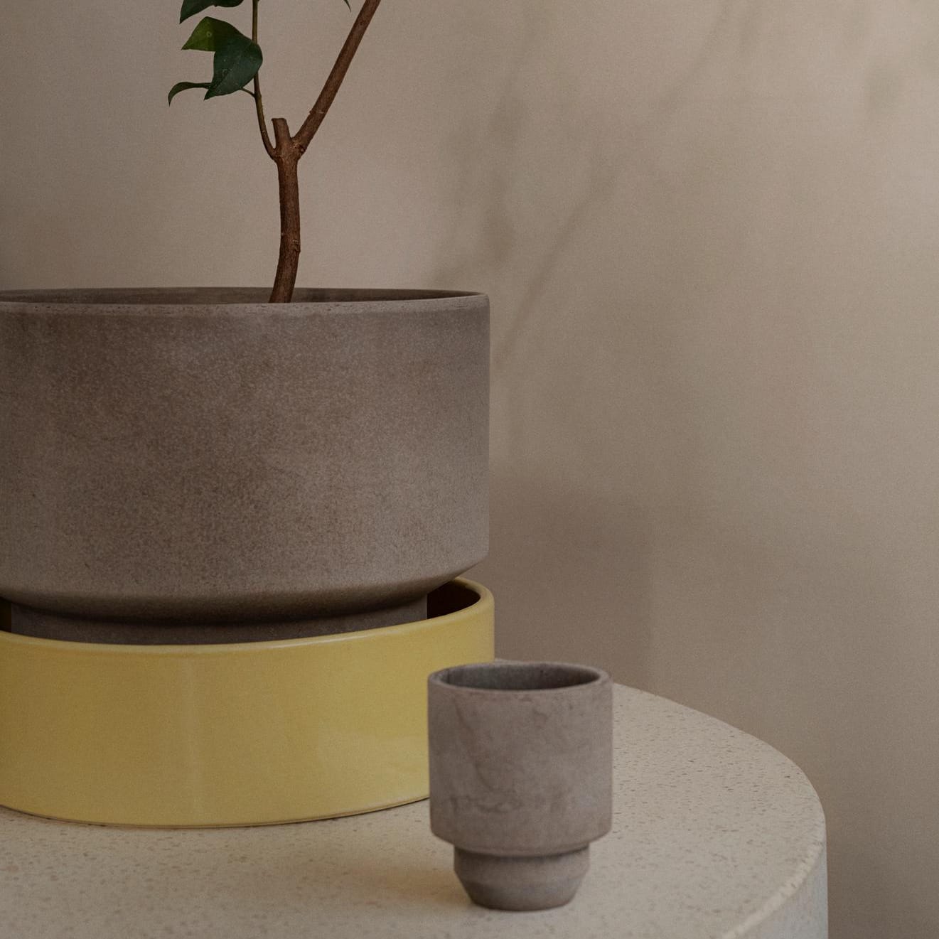 The Hoff Low Pot. Urtepotte i Raw Grey sammensat med en gul underskål. 