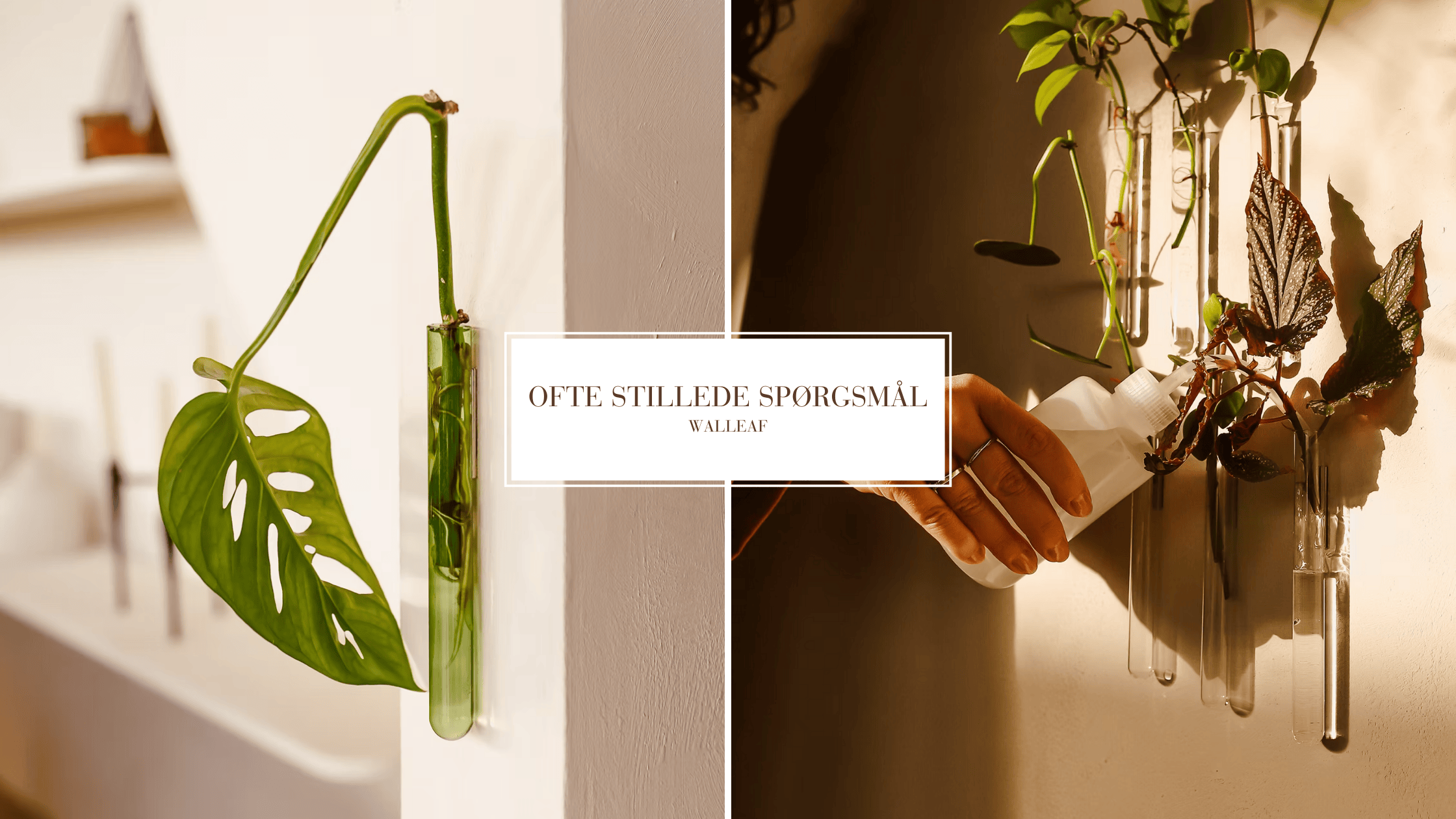 Ofte stillede spørgsmål 