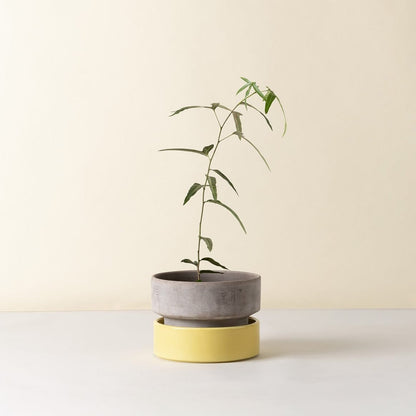 The Hoff Low Pot - Urtepotte - Raw Grey