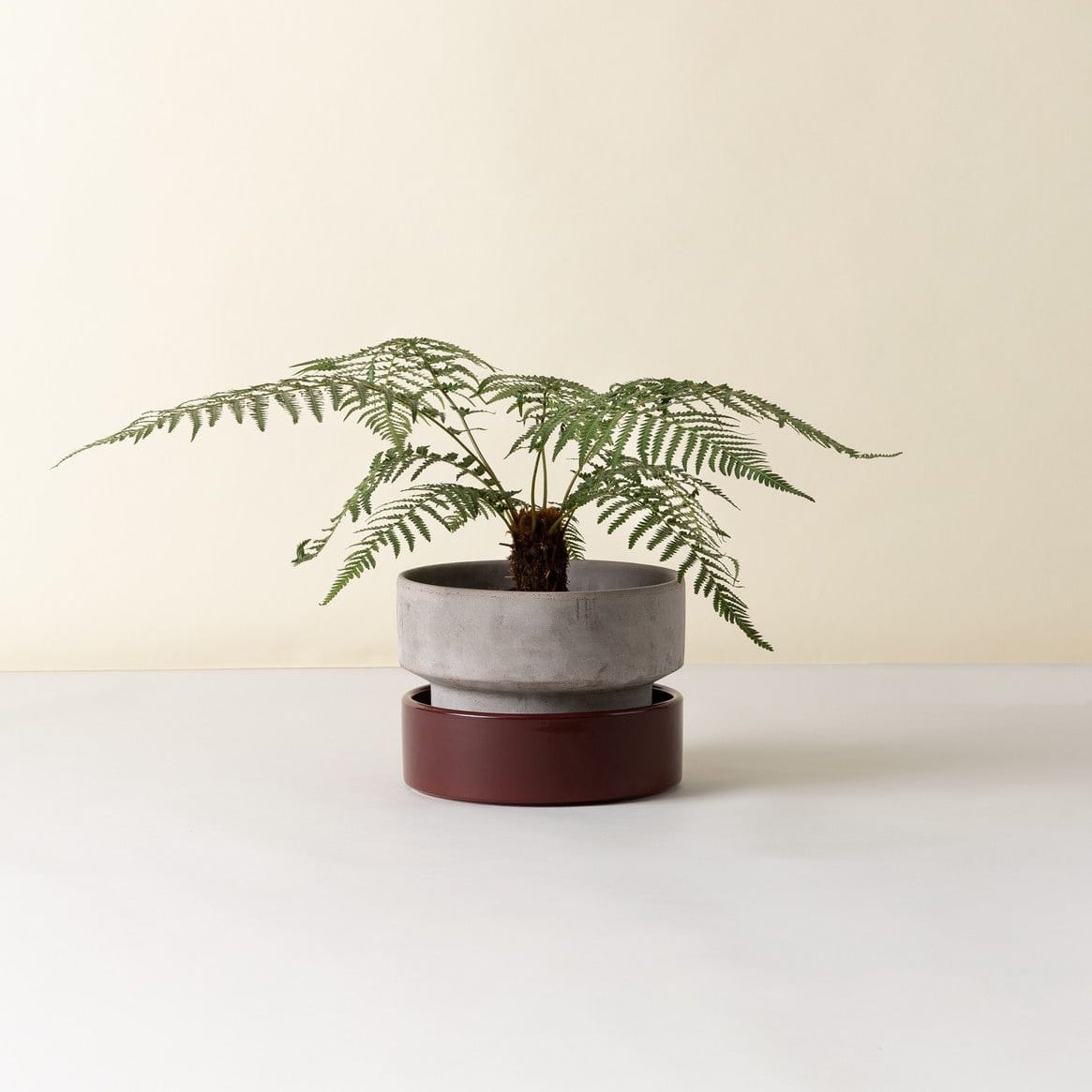 The Hoff Low Pot - Urtepotte - Raw Grey