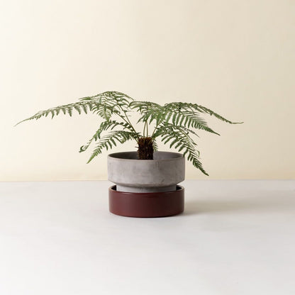 The Hoff Low Pot - Urtepotte - Raw Grey