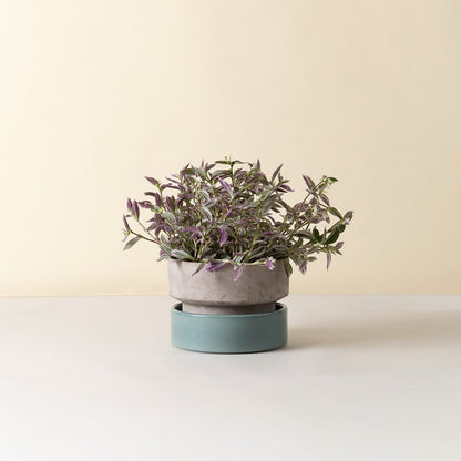 The Hoff Low Pot - Urtepotte - Raw Grey