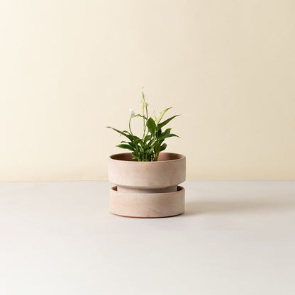 The Hoff Low Pot - Urtepotte - Raw Rose
