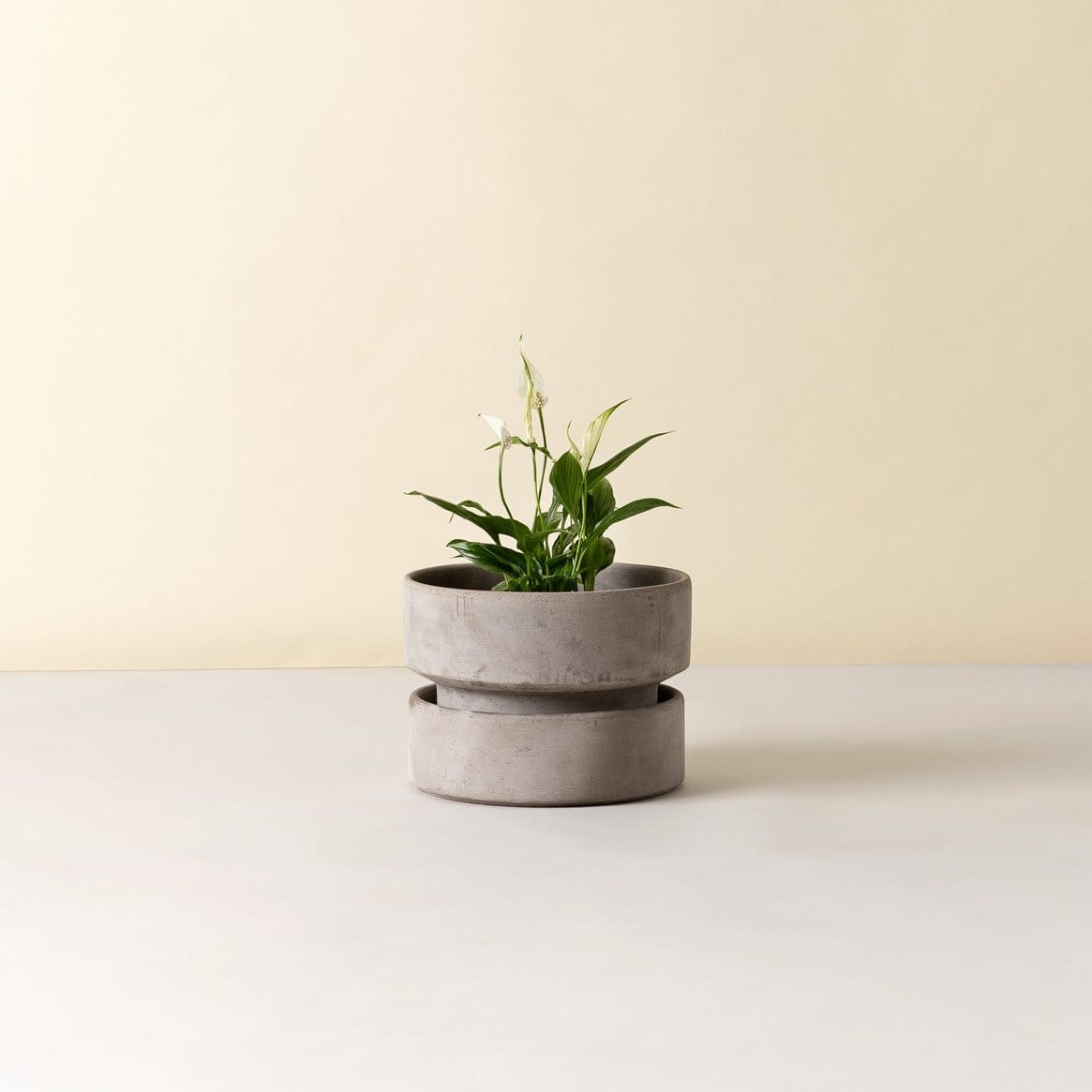 The Hoff Low Pot - Urtepotte - Raw Grey