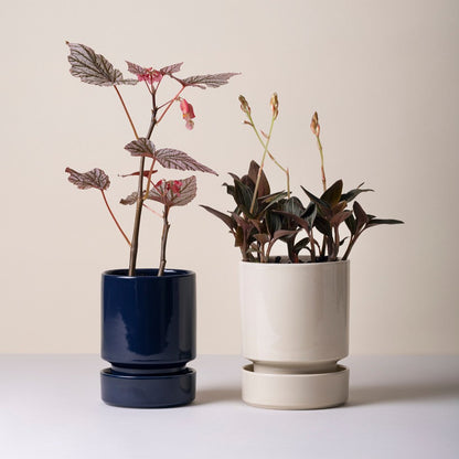 The Hoff Pot &amp; Saucer - Glaseret Sæt - Sapphire Blue