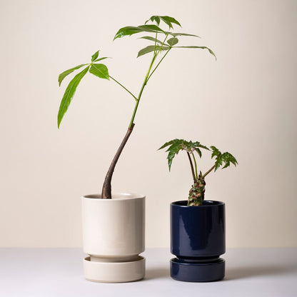 The Hoff Pot &amp; Saucer - Glaseret Sæt - Sandstone