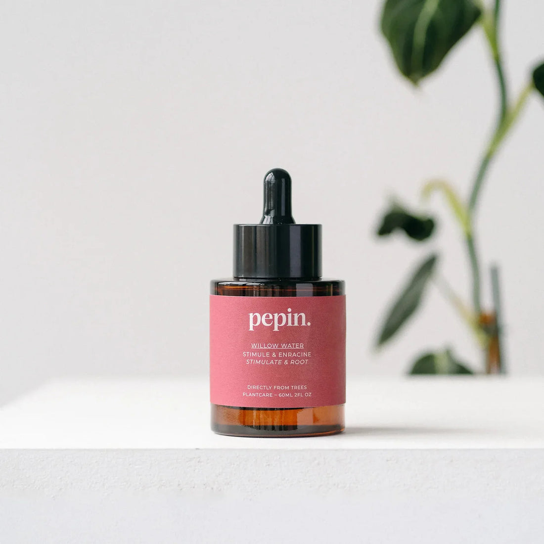 Willow Water, Plantepleje Til Rødder - Pilevand