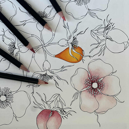 Flora Danica Mandalas