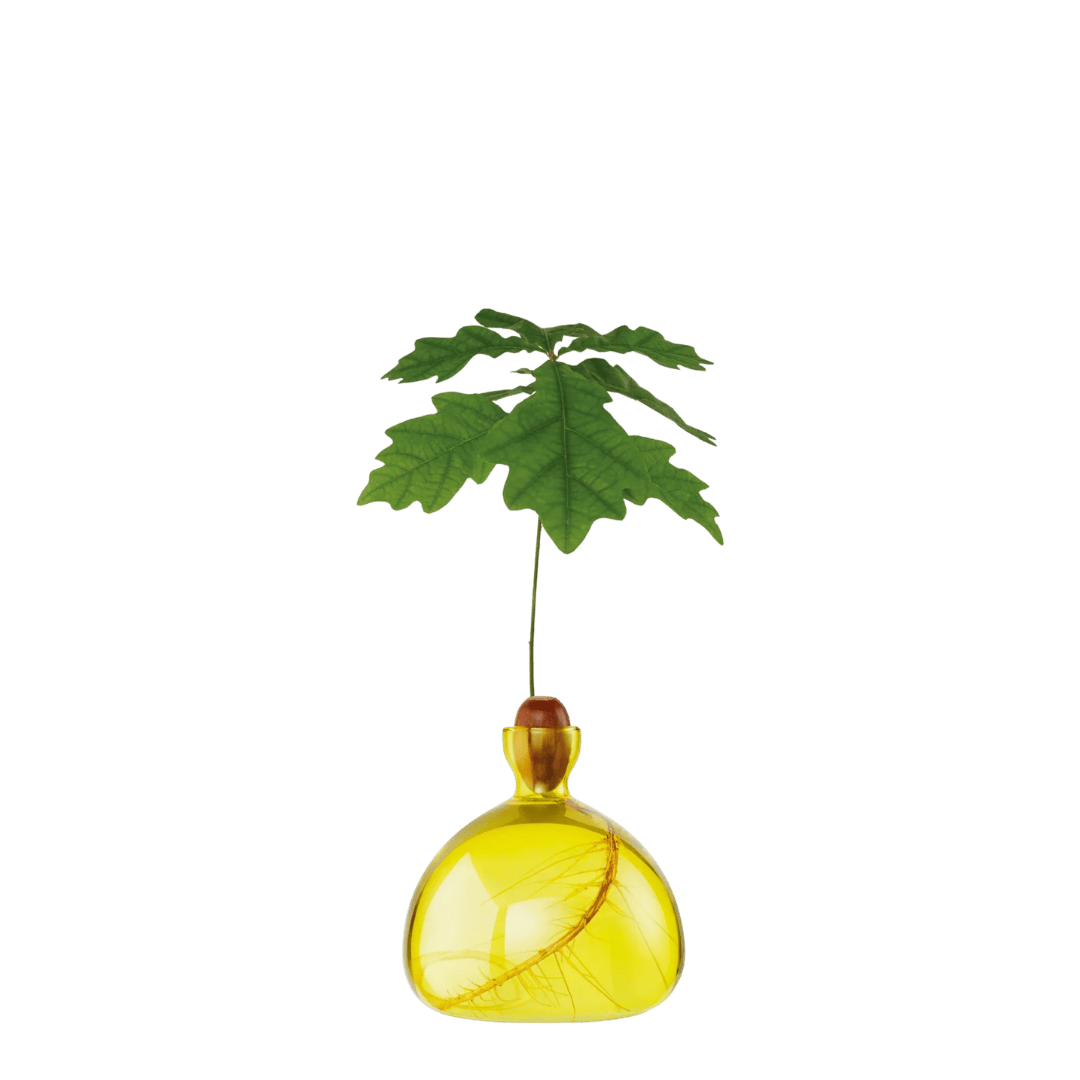 Agern Vase - Sunlight Yellow