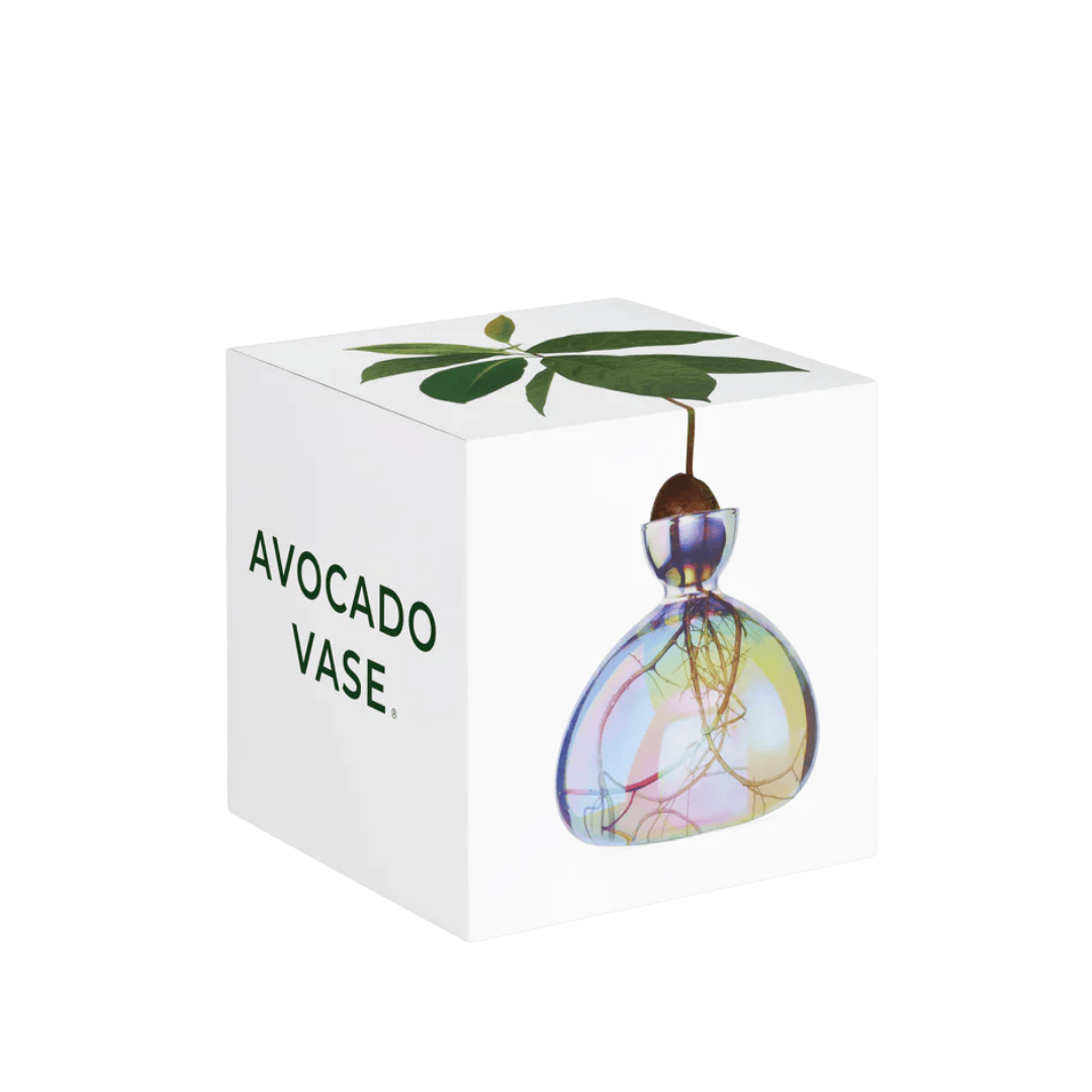 Avocado Vase - Cosmic Lyra