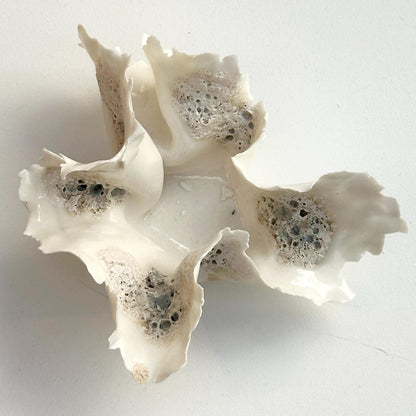 Skulptur Skål - Koral &amp; Havskum