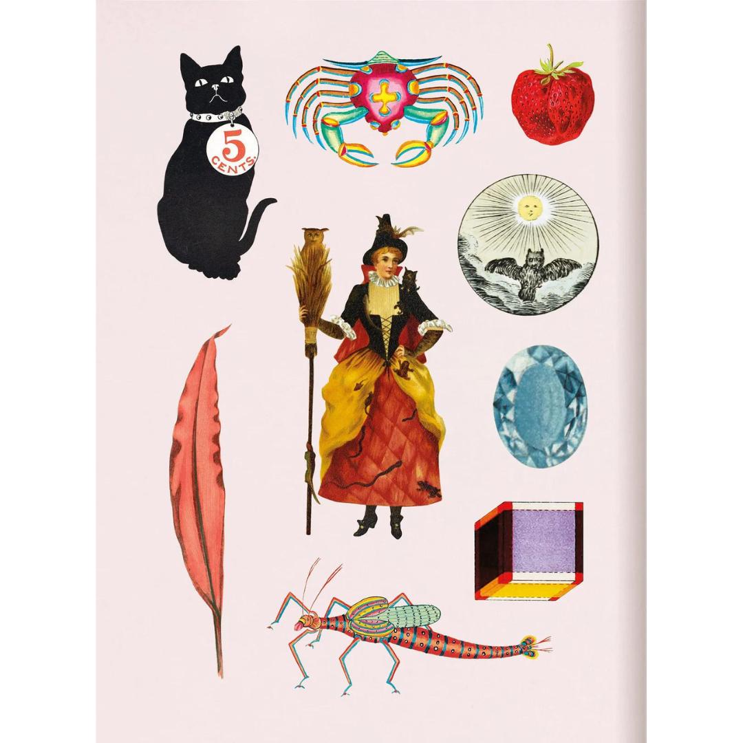 Antiquarian Sticker Book - Bibliophilia