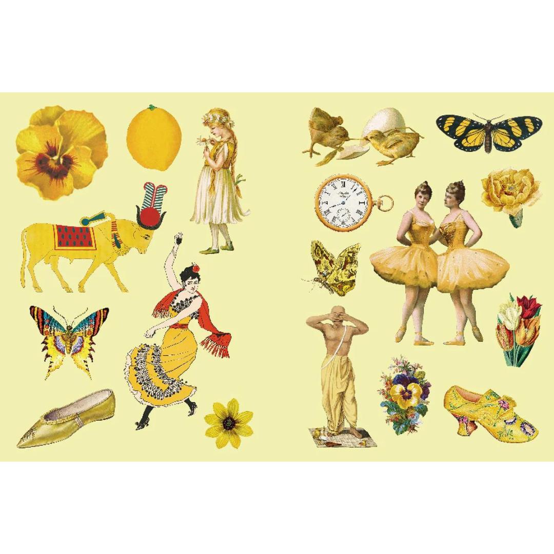 Antiquarian Sticker Book - Imaginarium