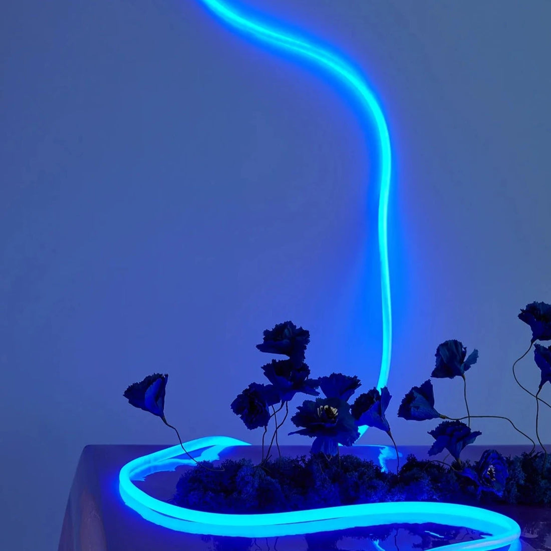 Flextube lampen er et lysstofrør i blå og 5 meter