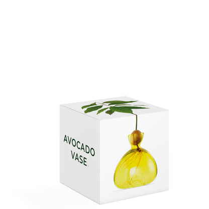 Avocado Vase - Sunlight Yellow