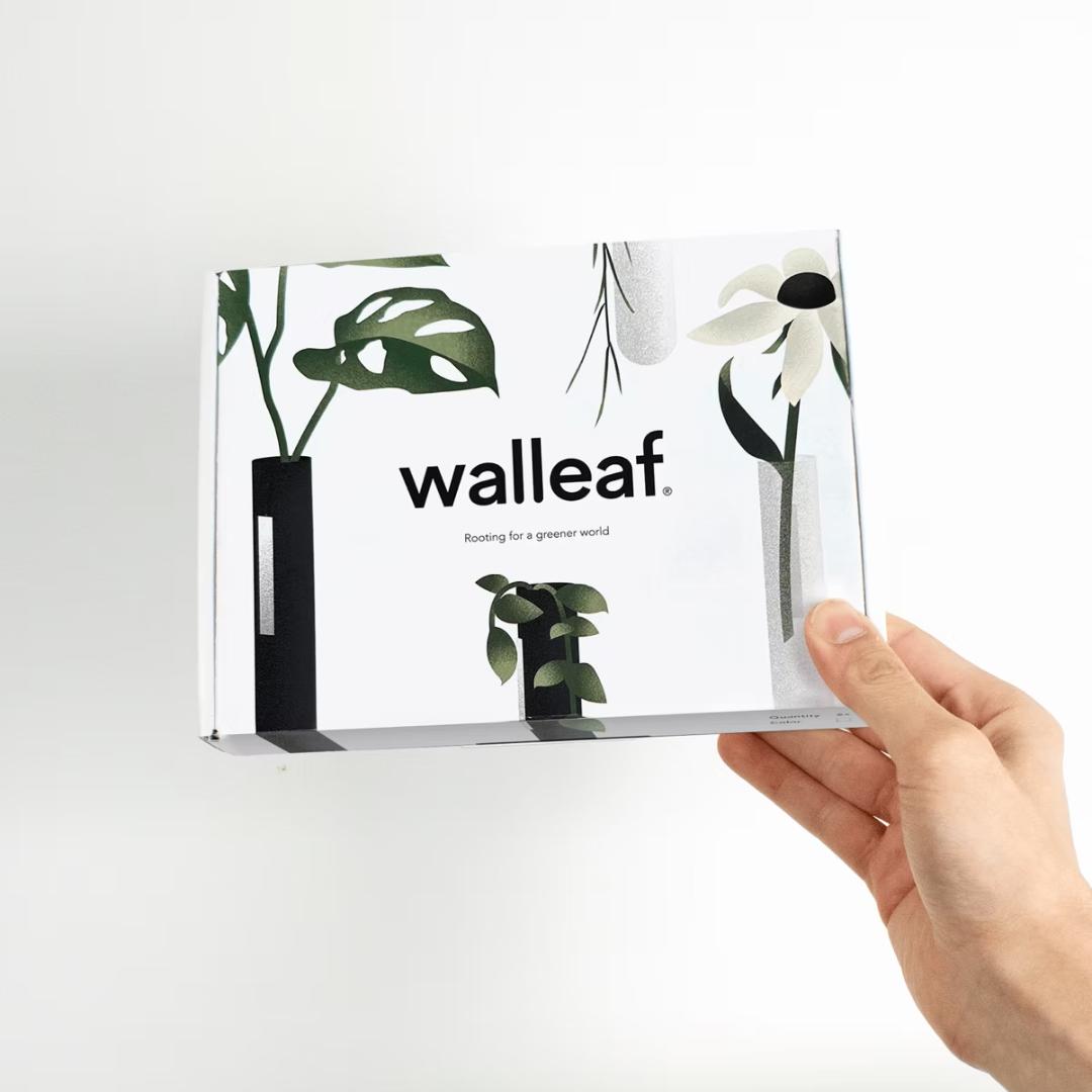 Walleaf 6-Pak, Vægvase - Transparent