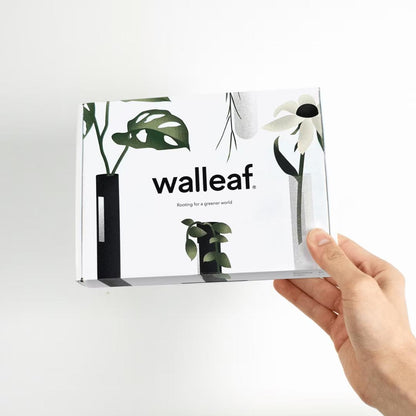 Walleaf 6-Pak, Vægvase - Transparent