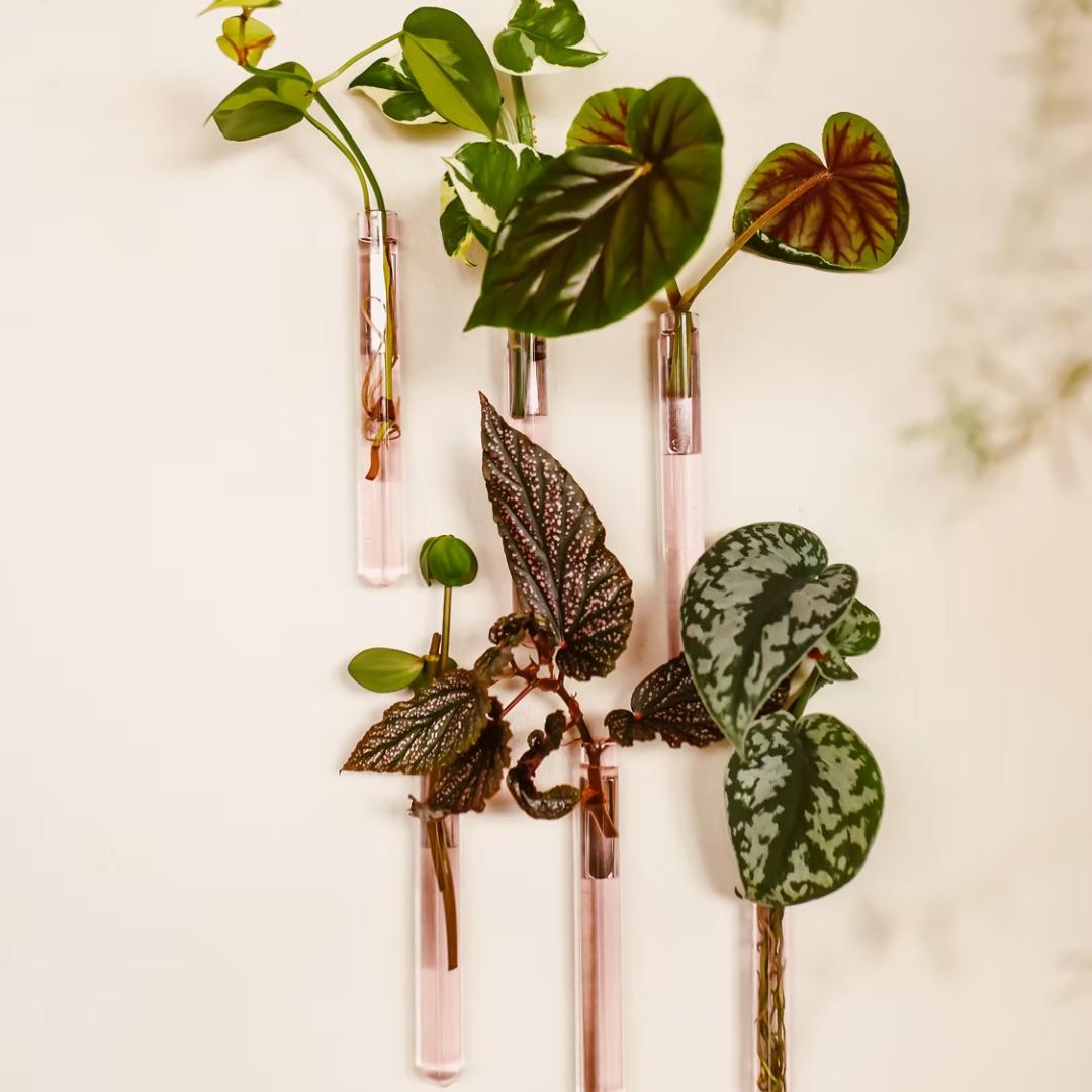 Walleaf 6-Pak, Vægvase - Pink