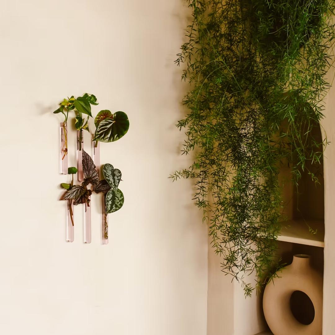 Walleaf 6-Pak, Vægvase - Pink