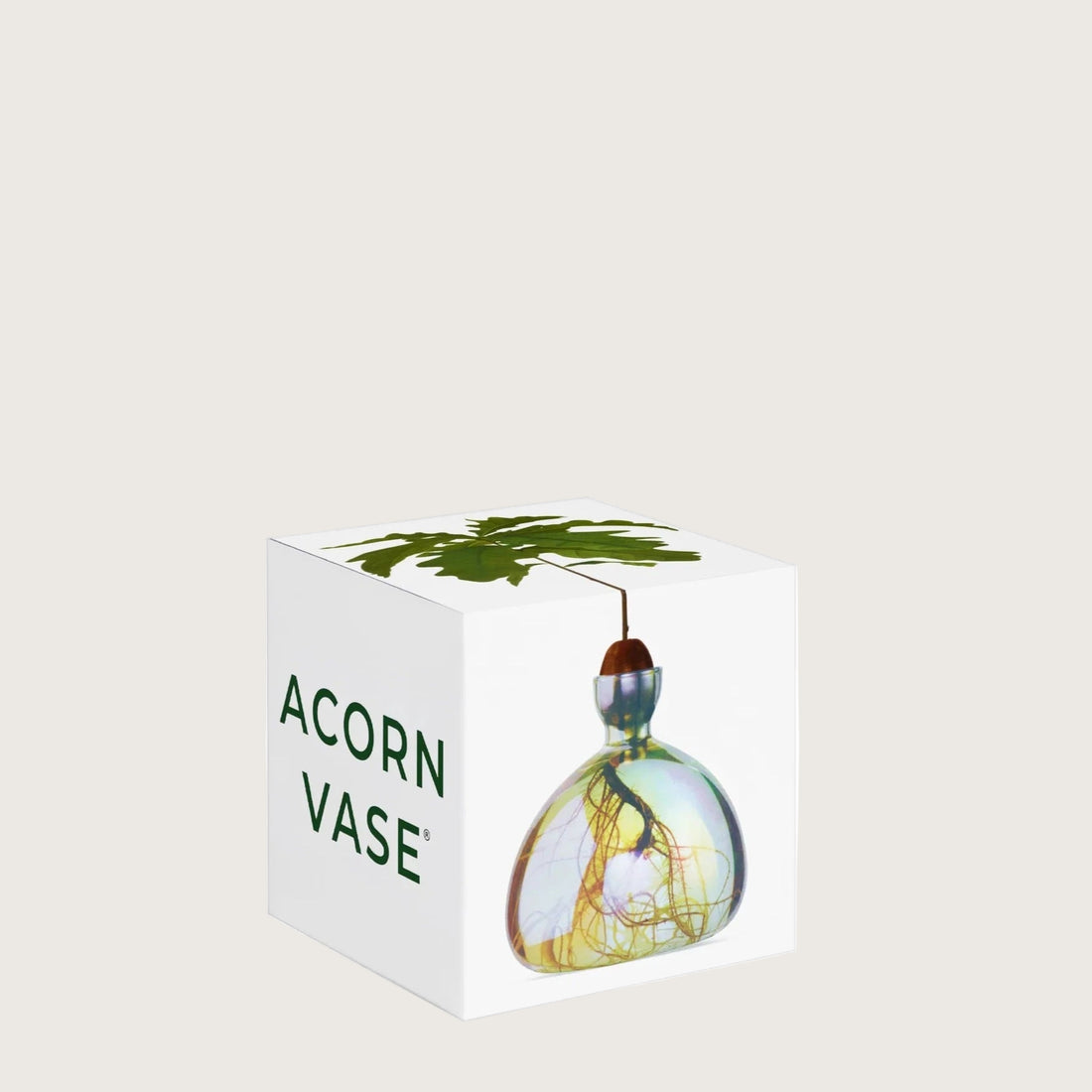 Agern vasen i farven &