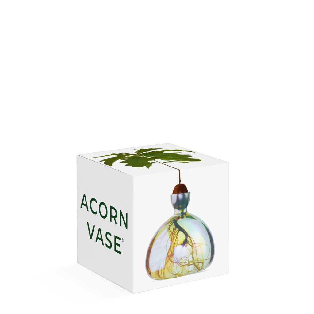 Agern vasen i farven 'cosmic astra' er en gennemsigtig vase til at spire agern i, men med en metalisk belægning, som giver den et perlemorslook