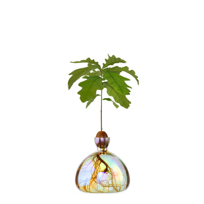 Agern vasen i farven &