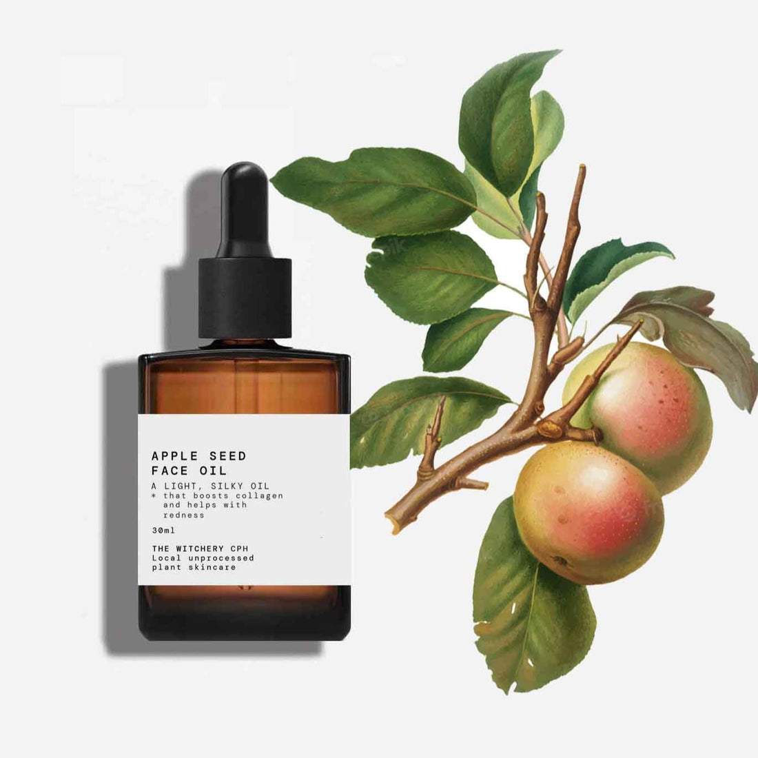 Den kollagenforstærkende æblefrø ansigtsolie er koldpresset, ubearbejdet, 100% naturlig og lavet på EU frø. Æblefrøolien har en smuk silkeblød tekstur og er fuldstændig spildfri. En perfekt ansigtsolie til alle over 30 år.