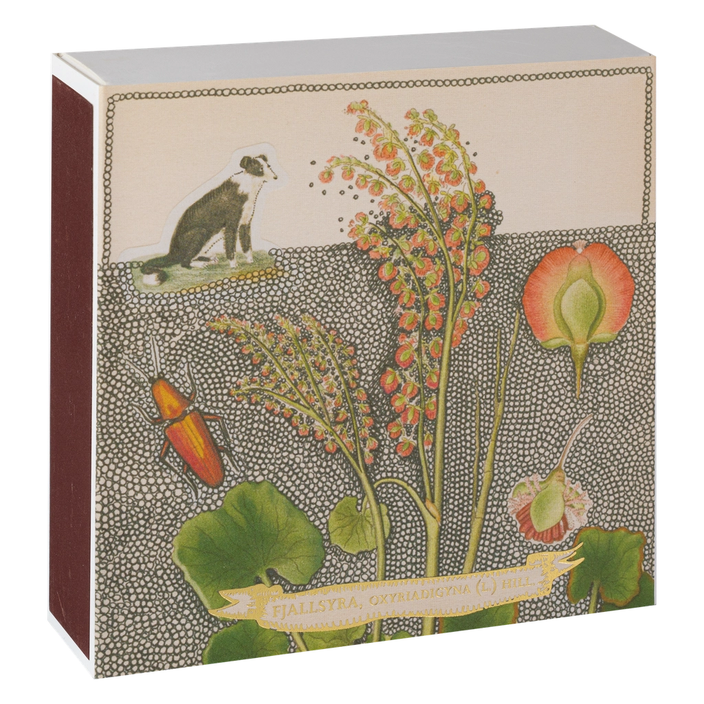 Chien botanical drawning matches - luksus tændstikker - smuk billede på forsiden
