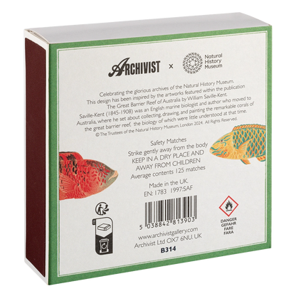 Store tændstikker fra Archivist gallery 