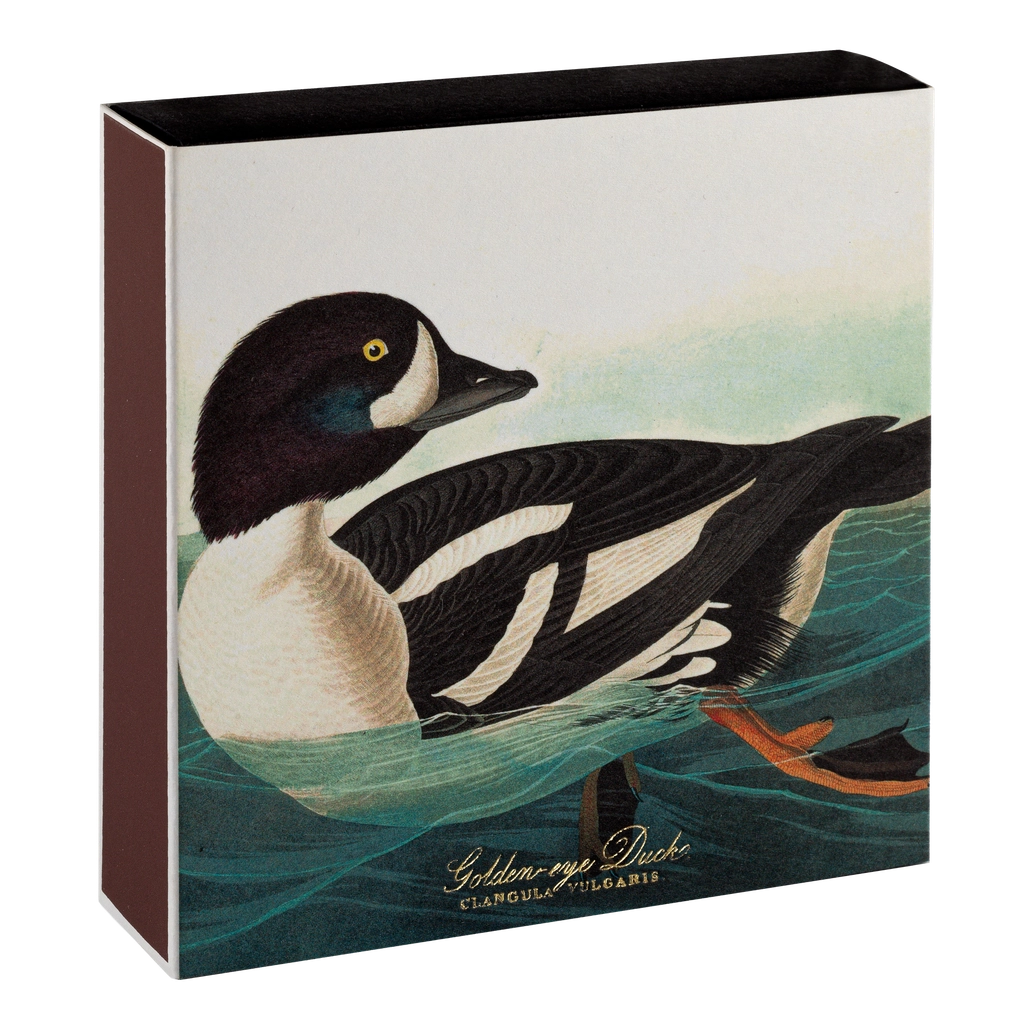 Golden eye duck - billede på tændstikæske