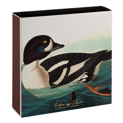 Golden eye duck - billede på tændstikæske
