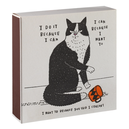 Tændstikker - I Do It Because I Can