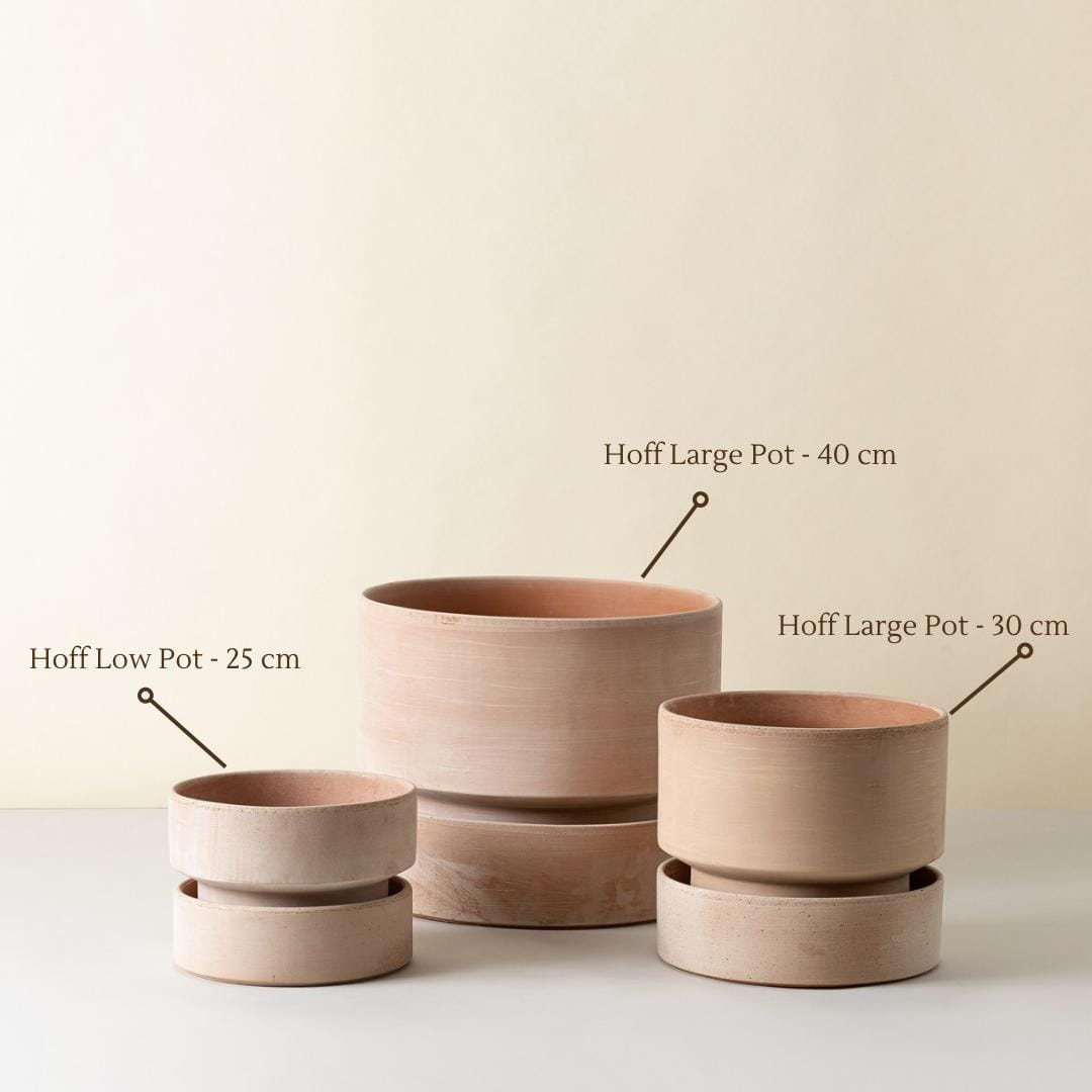 The Hoff Low Pot - Urtepotte - Raw Rose