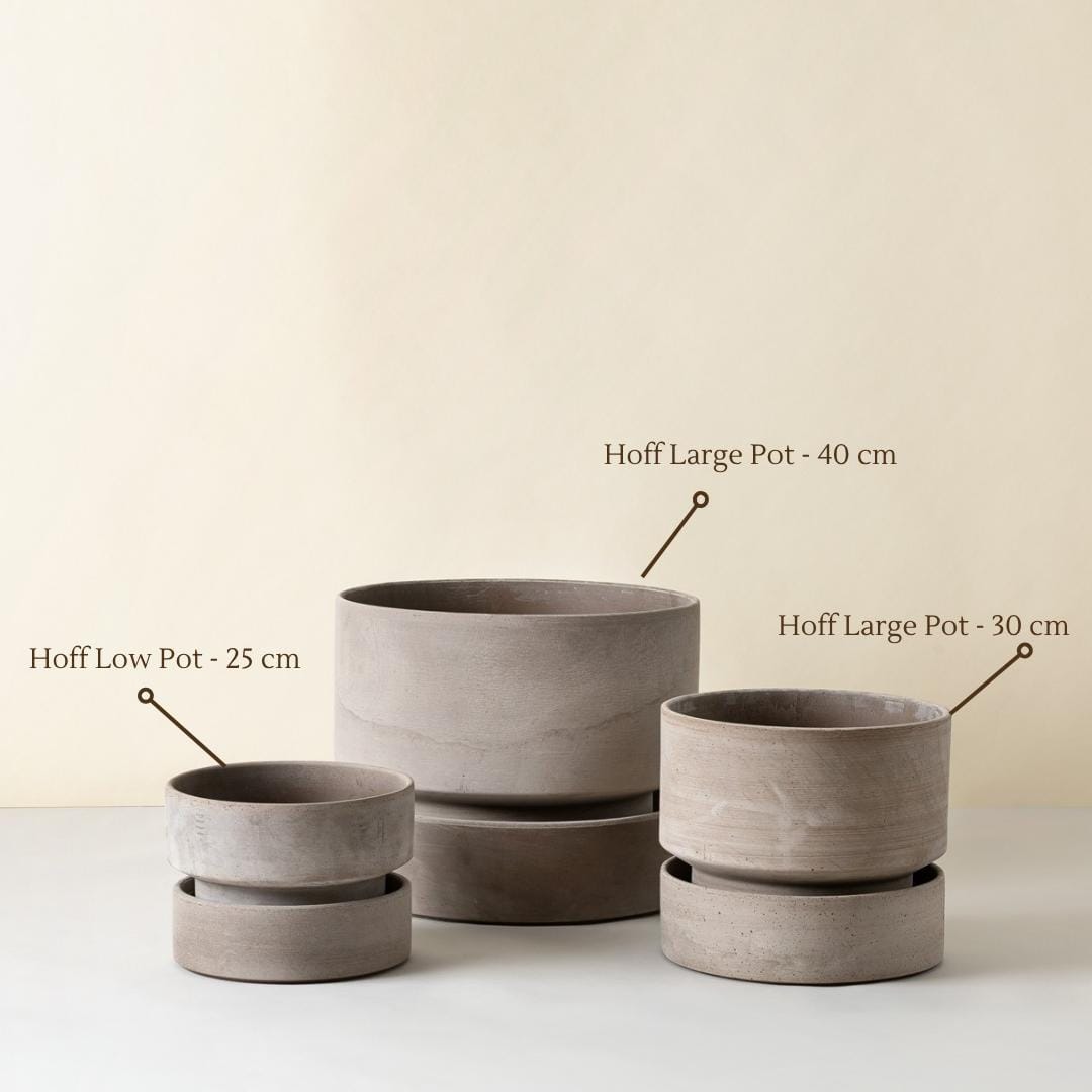 The Hoff Low Pot - Urtepotte - Raw Grey