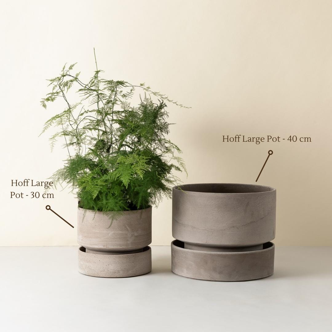 The Hoff Large Pot - Urtepotte - Raw Grey