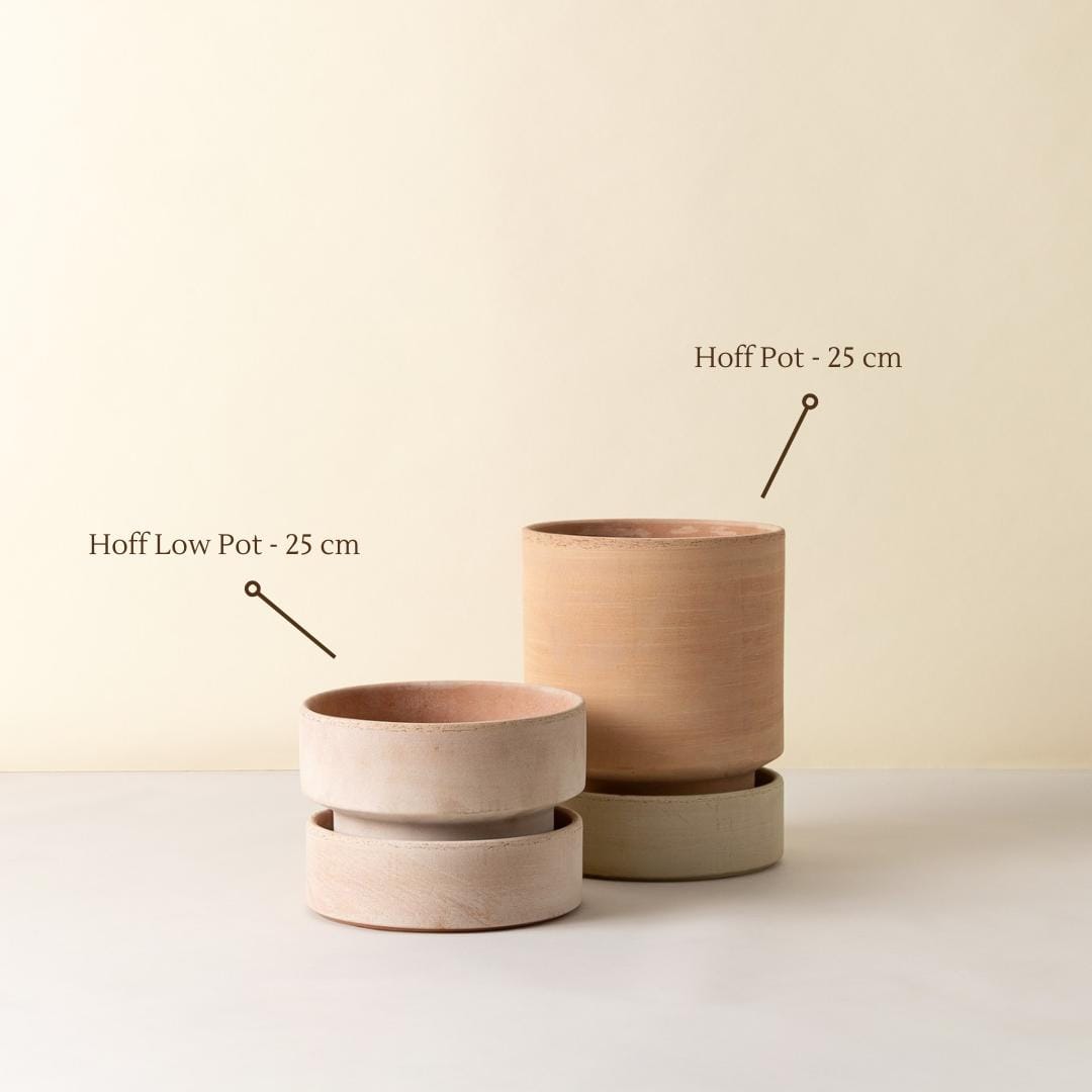 The Hoff Low Pot - Urtepotte - Raw Rose