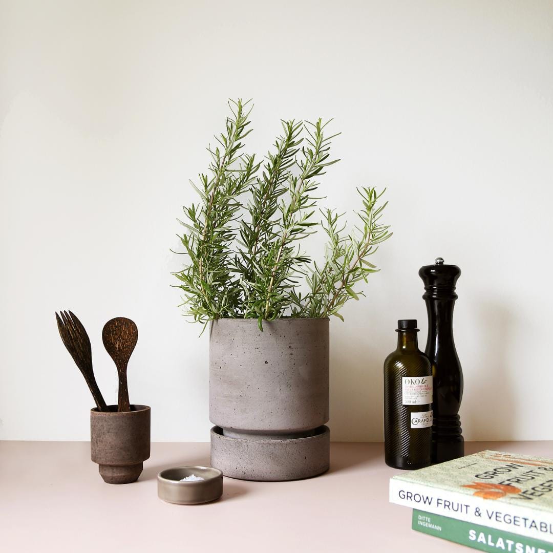 The Hoff Pot - Urtepotte - Raw Grey