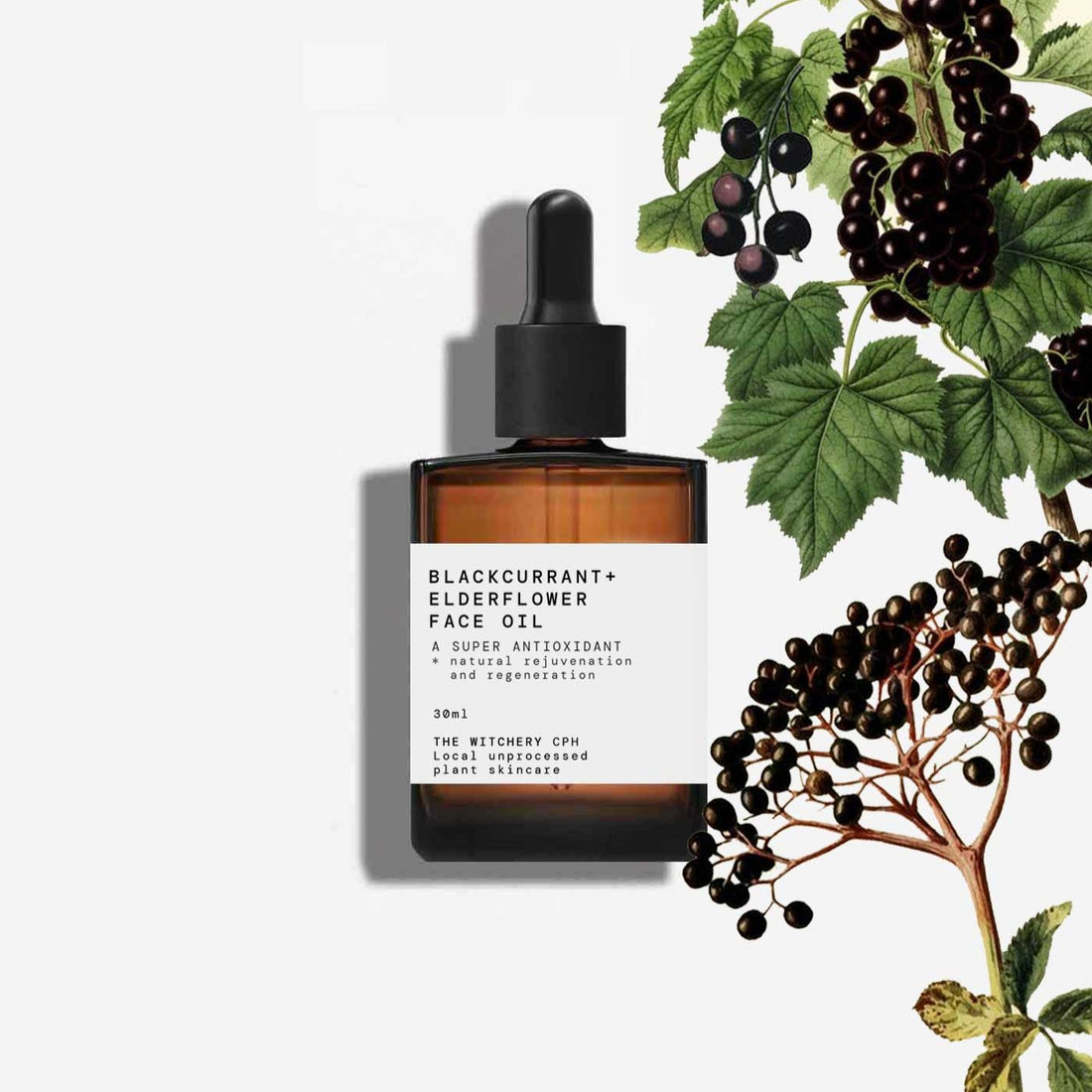 Ansigtsolie Antioxidant - Solbær &amp; Hyldeblomst