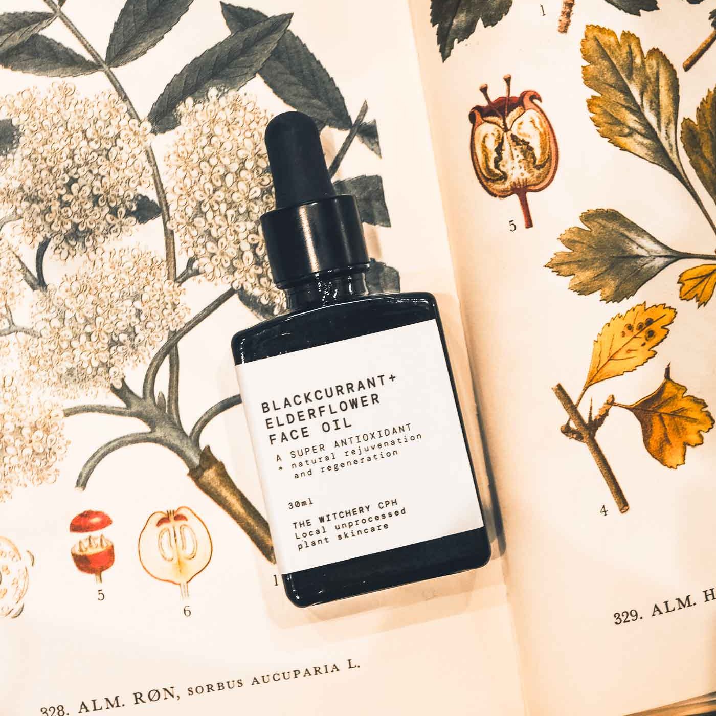Ansigtsolie Antioxidant - Solbær &amp; Hyldeblomst