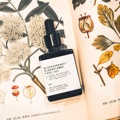 Ansigtsolie Antioxidant - Solbær &amp; Hyldeblomst