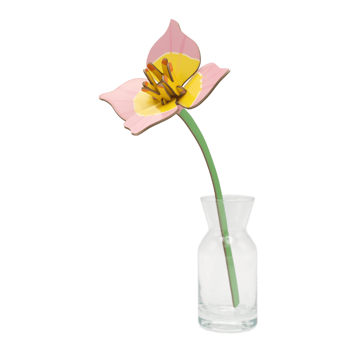 Studio Roof Blushing Tulip i en lille rød vase