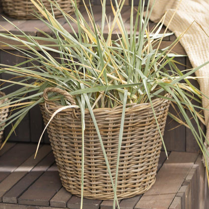Kurv m/ Indvendig Plast - Rattan