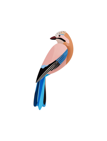 Vægdekoration - Jay