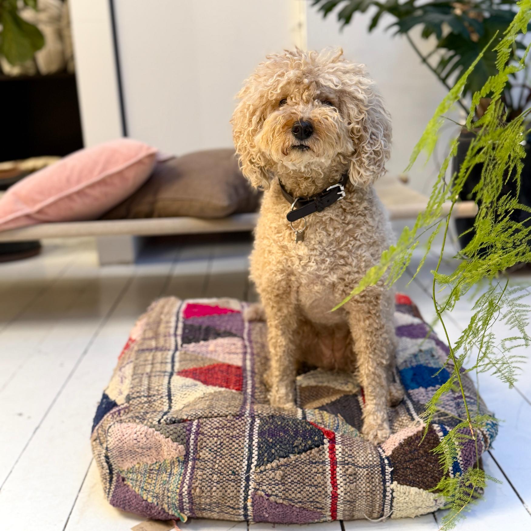 Vintage Marokkansk Puf Betræk - Unika 