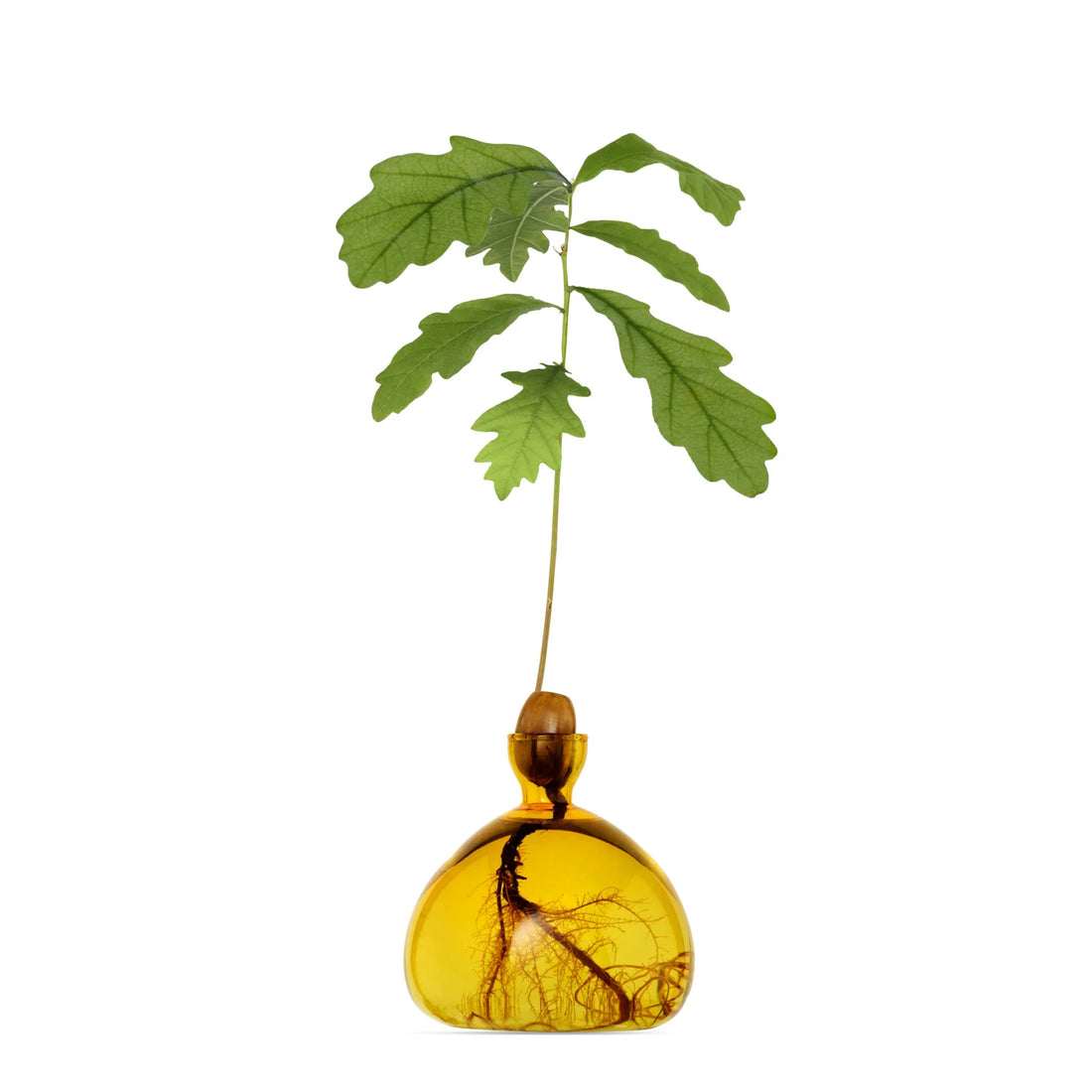 Agern Vase - Mellow Yellow