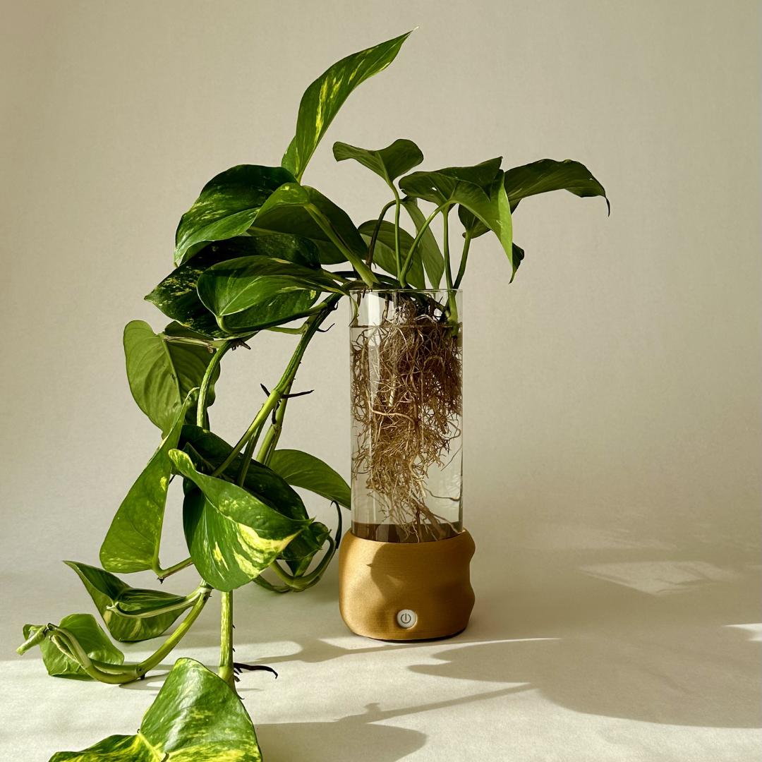Brun cylindervase fra Moril med plante, glas og stemningsfuldt lys