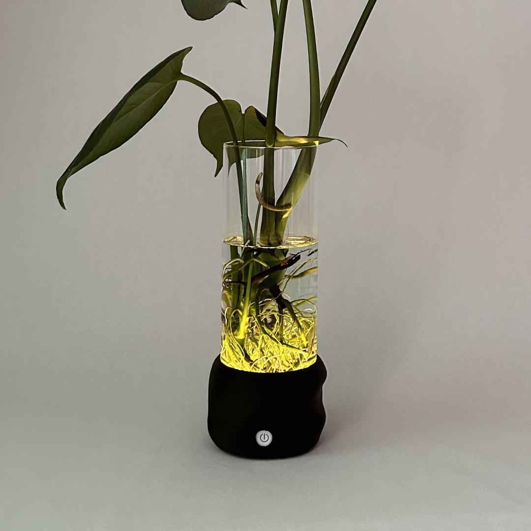 Moril vase til planter i vand med mørkebrun base og grønne blade