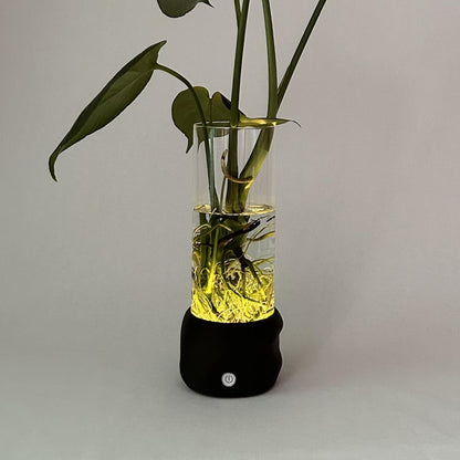 Moril vase til planter i vand med mørkebrun base og grønne blade