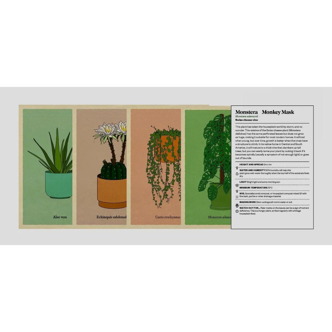 Houseplant Gardener in a Box